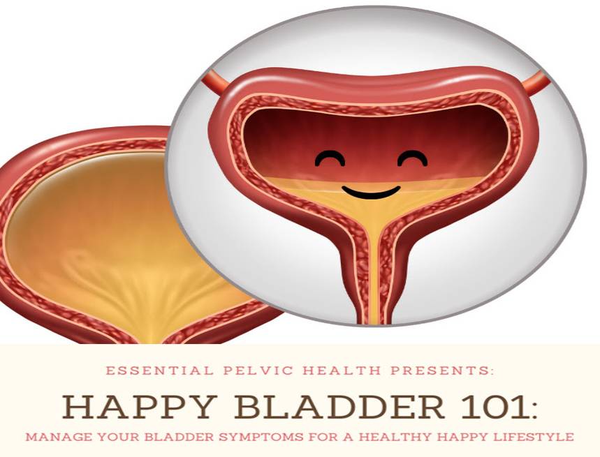 Happy Bladder 101 Essential Pelvic Health